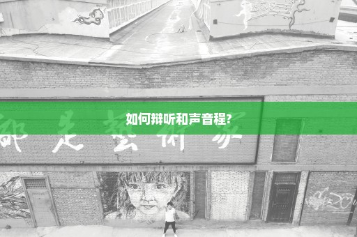 如何辩听和声音程?