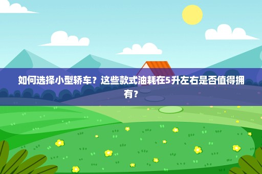 如何选择小型轿车？这些款式油耗在5升左右是否值得拥有？