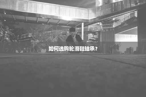 如何选购轮滑鞋轴承？