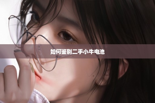 如何鉴别二手小牛电池