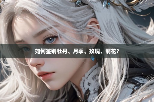 如何鉴别牡丹、月季、玫瑰、菊花？