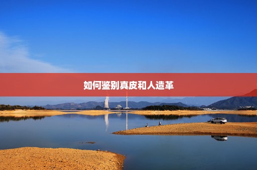 如何鉴别真皮和人造革