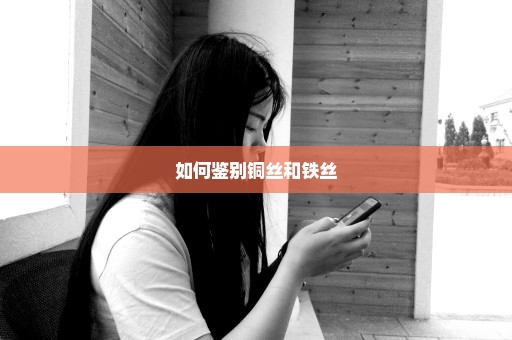 如何鉴别铜丝和铁丝