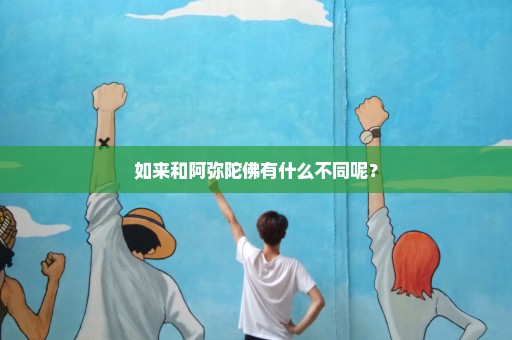 如来和阿弥陀佛有什么不同呢？