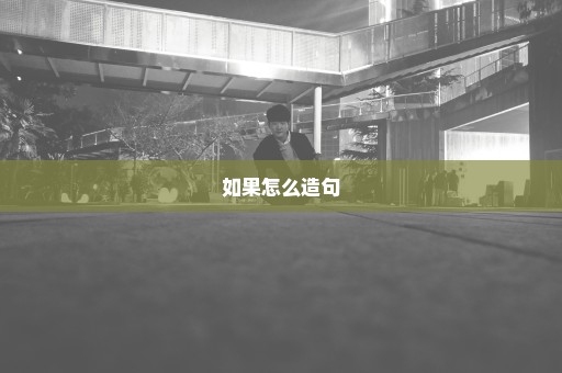 如果怎么造句