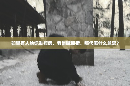 如果有人给你发短信，老是喊你猪，那代表什么意思？