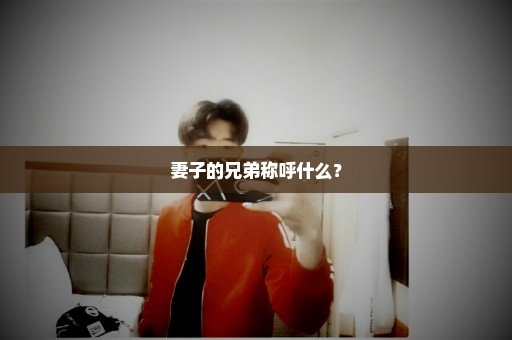 妻子的兄弟称呼什么？