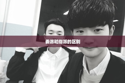 委派和指派的区别