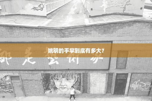 姚明的手掌到底有多大？