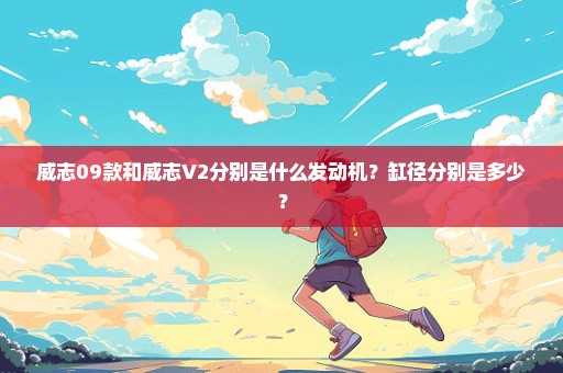 威志09款和威志V2分别是什么发动机？缸径分别是多少？