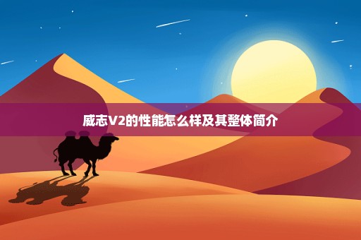 威志V2的性能怎么样及其整体简介