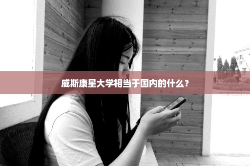 威斯康星大学相当于国内的什么？