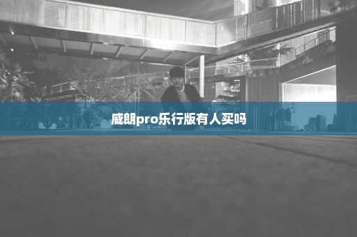 威朗pro乐行版有人买吗