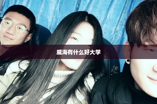 威海有什么好大学
