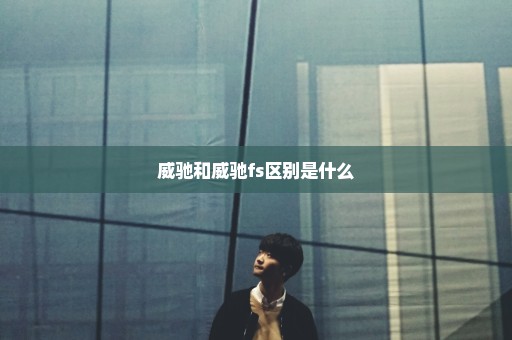 威驰和威驰fs区别是什么