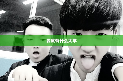 娄底有什么大学
