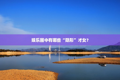娱乐圈中有哪些“隐形”才女？