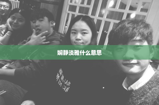 娴静淡雅什么意思