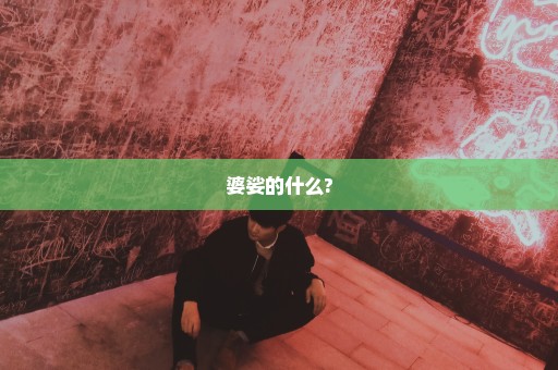 婆娑的什么?