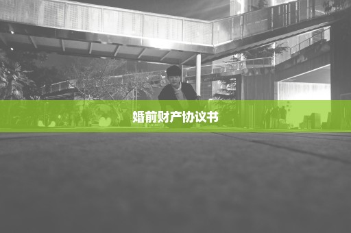 婚前财产协议书
