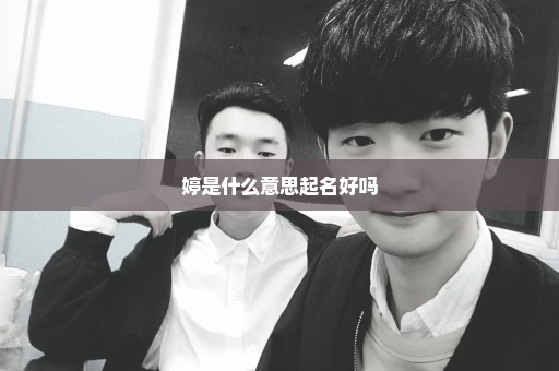 婷是什么意思起名好吗