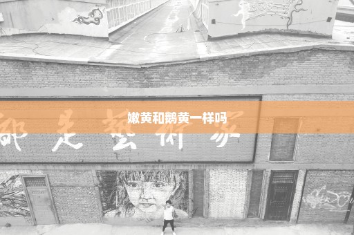 嫩黄和鹅黄一样吗