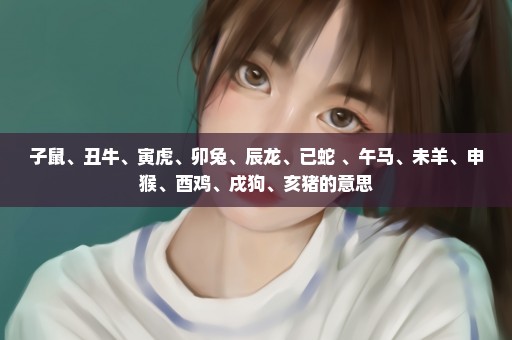 子鼠、丑牛、寅虎、卯兔、辰龙、已蛇 、午马、未羊、申猴、酉鸡、戌狗、亥猪的意思