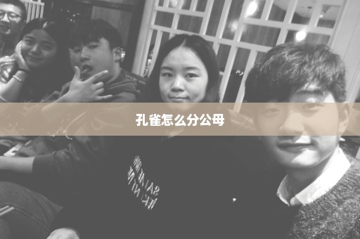 孔雀怎么分公母