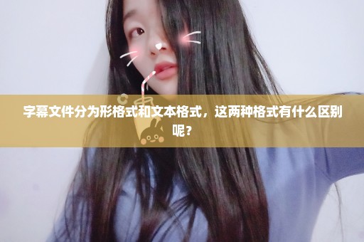字幕文件分为形格式和文本格式，这两种格式有什么区别呢？