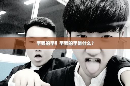 字旁的字钅字旁的字是什么？