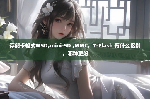存储卡格式MSD,mini-SD ,MMC,  T-Flash 有什么区别，哪种更好