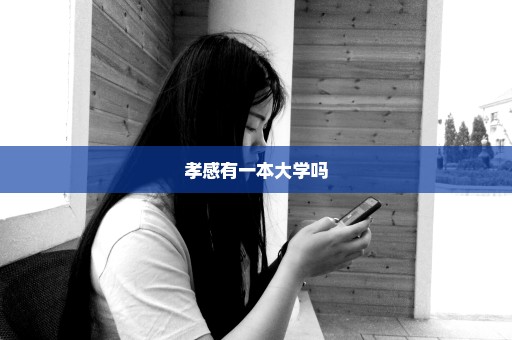 孝感有一本大学吗