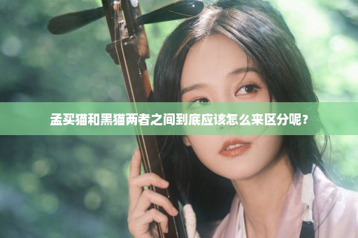 孟买猫和黑猫两者之间到底应该怎么来区分呢？