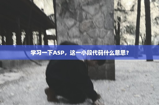 学习一下ASP，这一小段代码什么意思？
