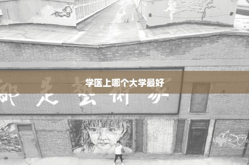 学医上哪个大学最好