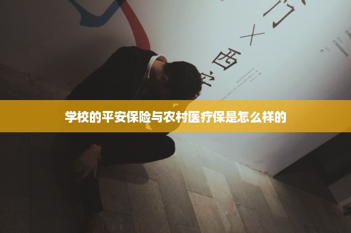 学校的平安保险与农村医疗保是怎么样的