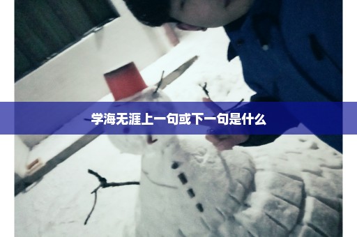 学海无涯上一句或下一句是什么