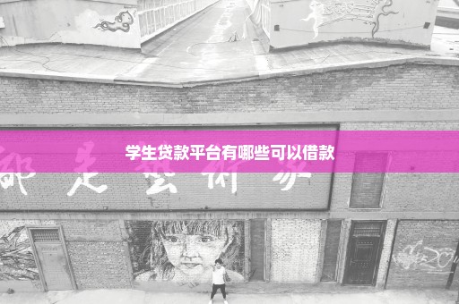 学生贷款平台有哪些可以借款