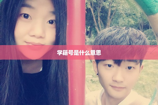 学籍号是什么意思