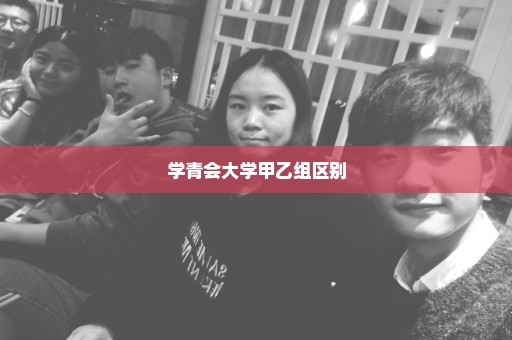 学青会大学甲乙组区别