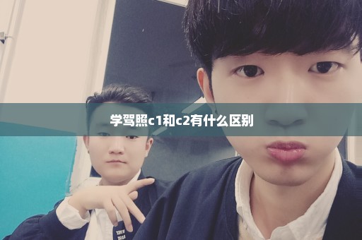 学驾照c1和c2有什么区别