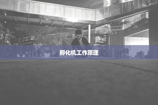 孵化机工作原理