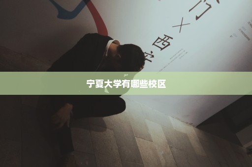 宁夏大学有哪些校区
