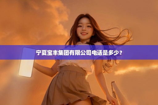 宁夏宝丰集团有限公司电话是多少？