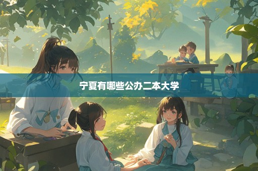 宁夏有哪些公办二本大学