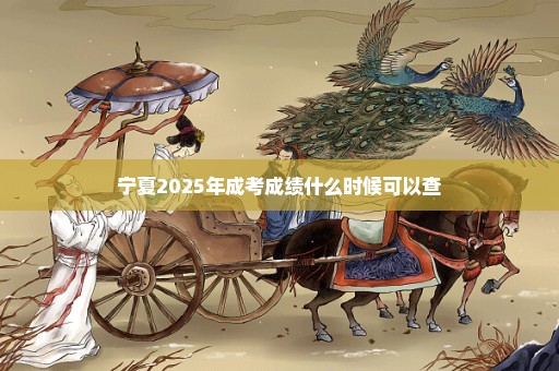 宁夏2025年成考成绩什么时候可以查