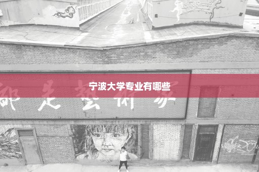 宁波大学专业有哪些