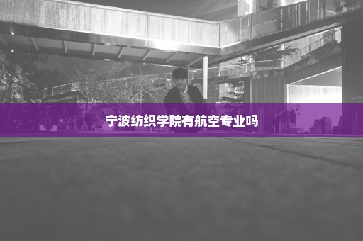 宁波纺织学院有航空专业吗