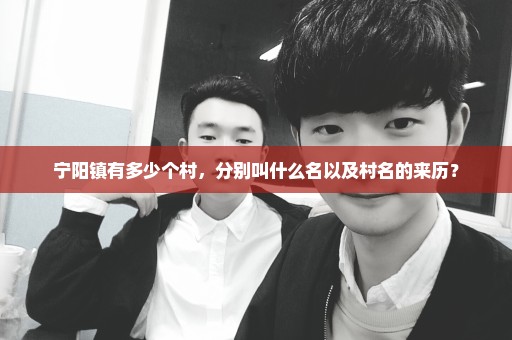 宁阳镇有多少个村，分别叫什么名以及村名的来历？