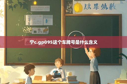 宁c.gp095这个车牌号是什么含义